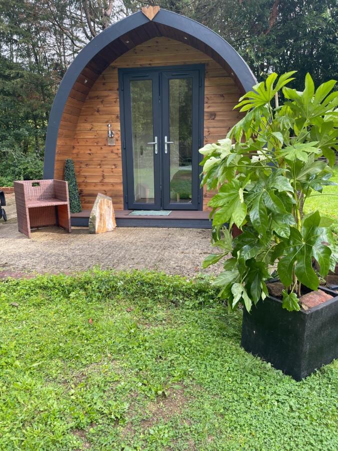 South Lodge House Dormansland ภายนอก รูปภาพ